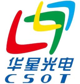 Case of CSOT Purification Project