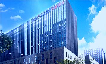 Case of Dazu Laser Plant Purification Project