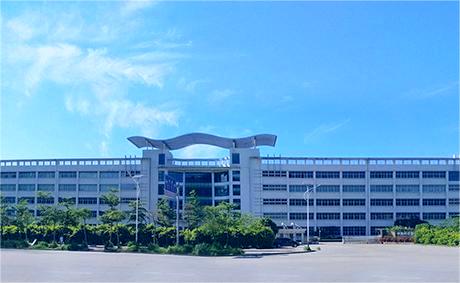 Case of Xinhongwei Purification Project