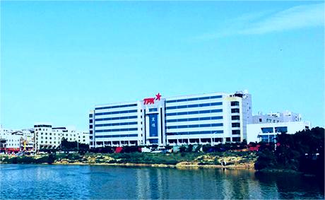 Case of Chen Hong Technology Purification Project